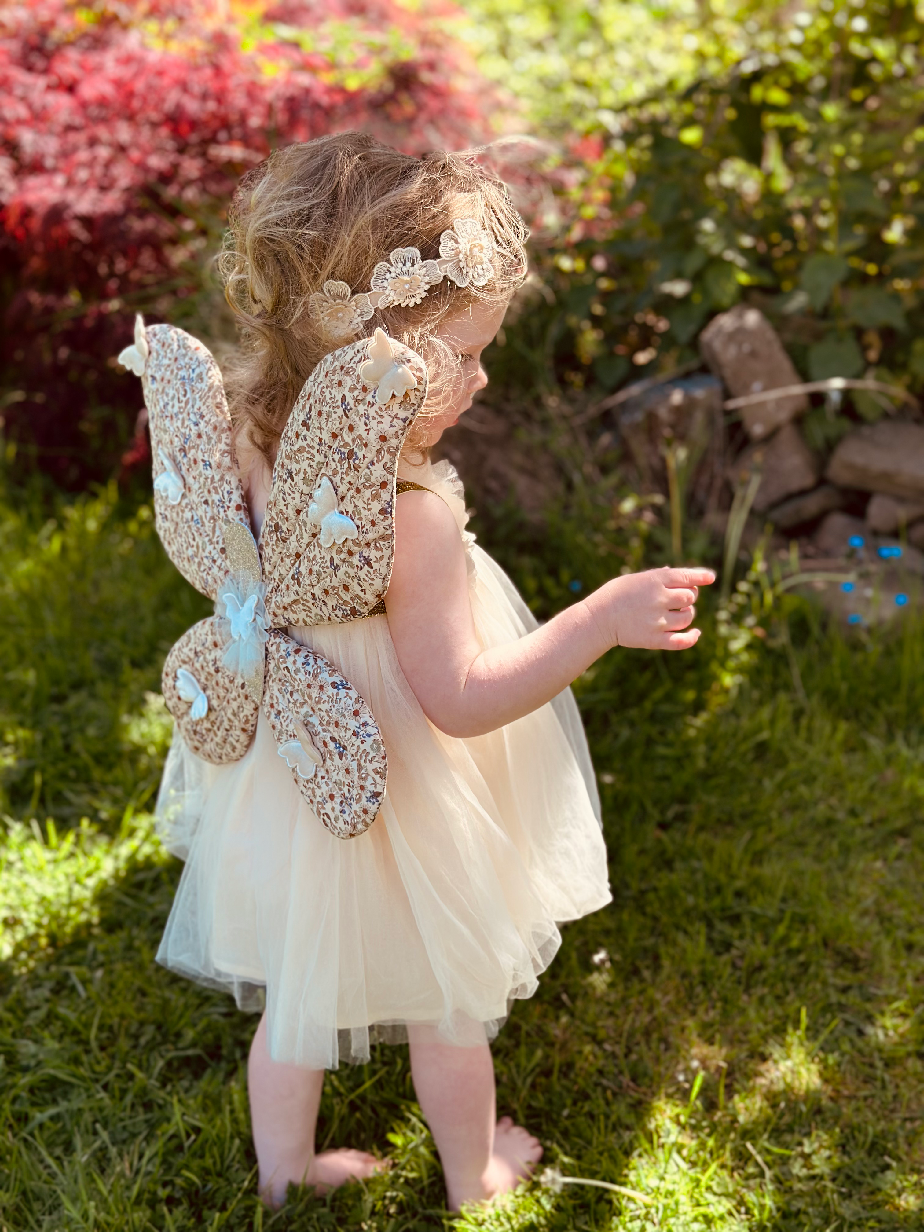 Meadow flower butterfly wing