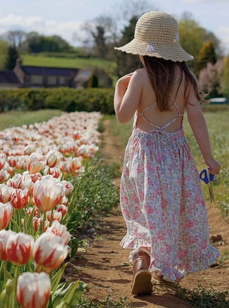 Elle Dress ROSE