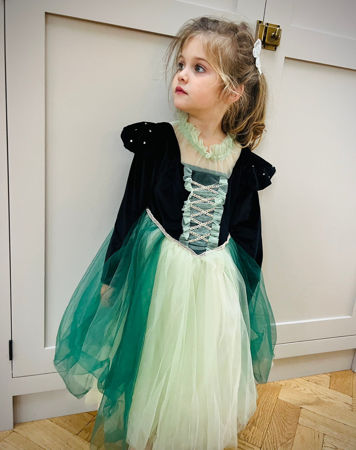 Princess of Arendelle gown