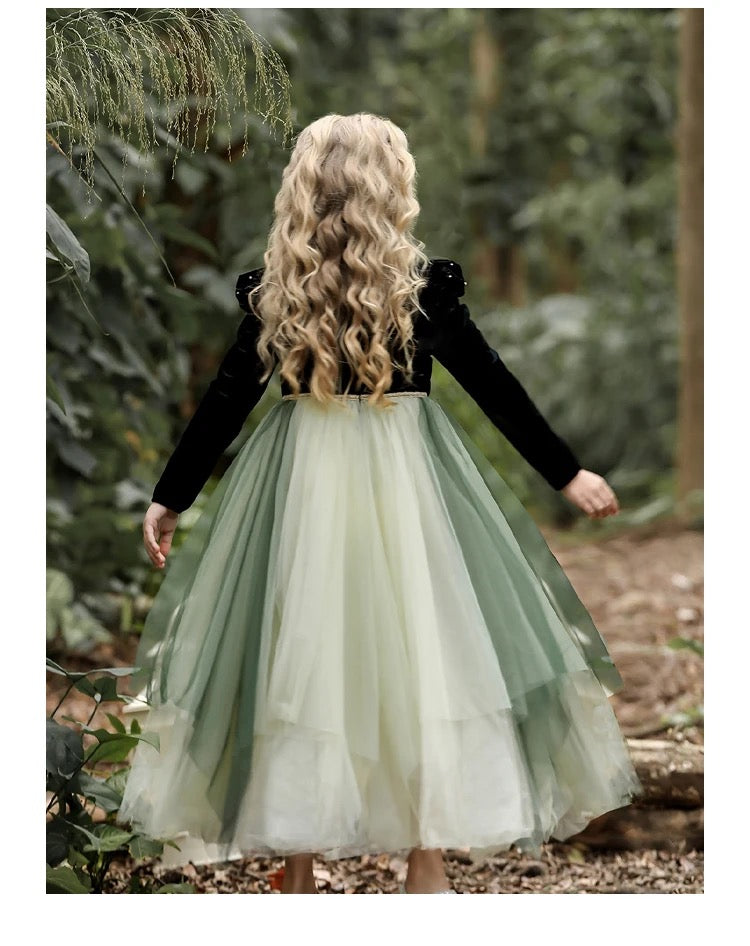 Princess of Arendelle gown