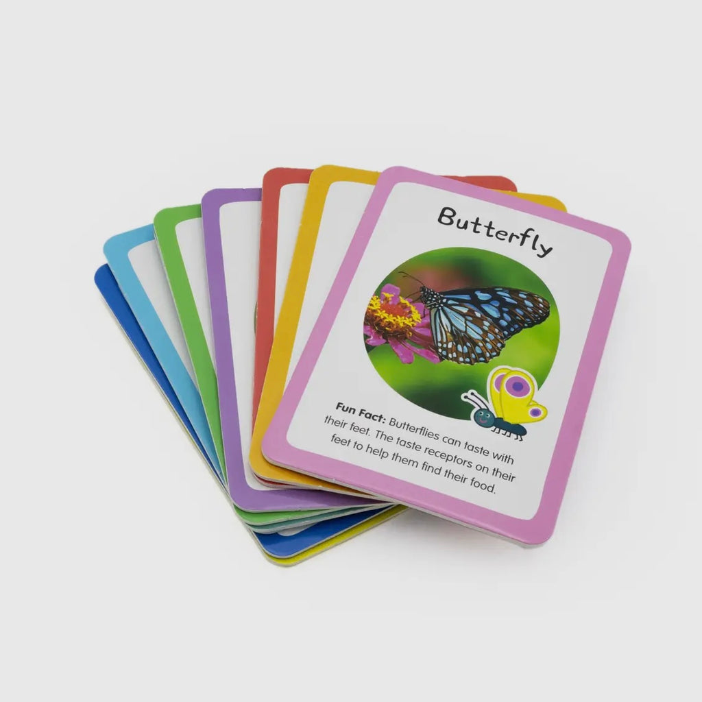 Nature Activity Set (peppa pig edition)