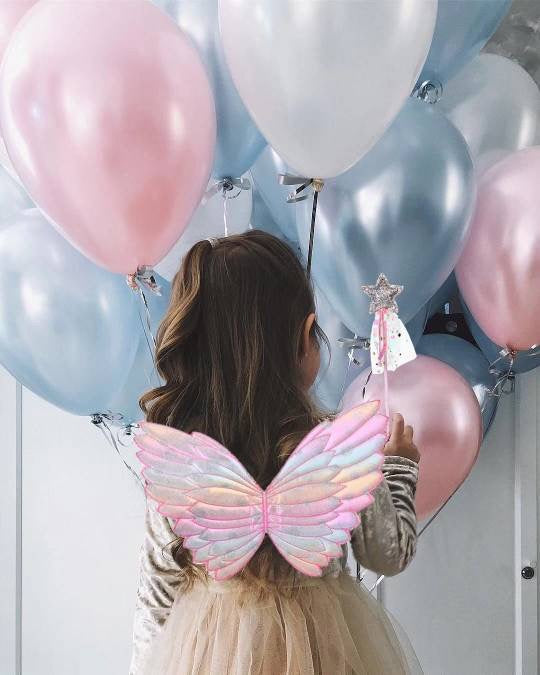 Fairy wand & wings
