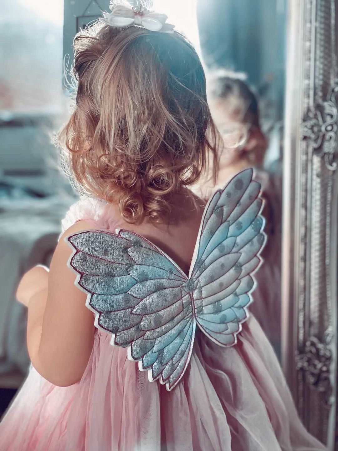 Fairy wand & wings