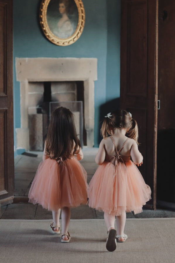 Aurora tutu dress PEACH