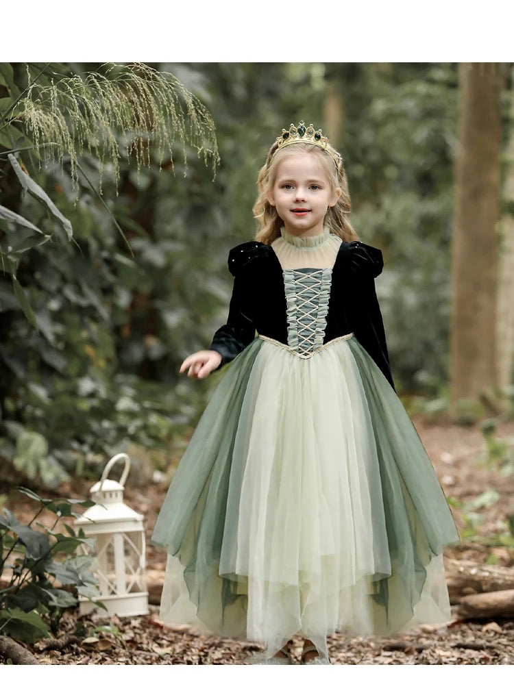 Princess of Arendelle gown