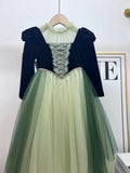 Princess of Arendelle gown