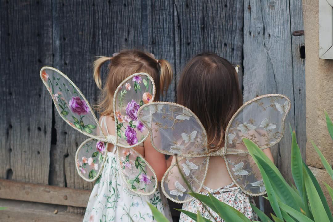 Periwinkle wings and wand