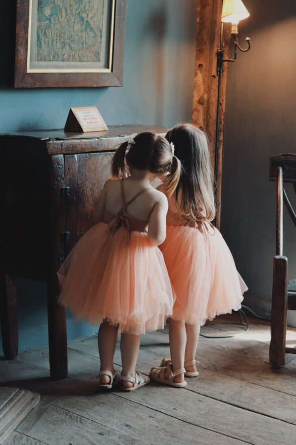 Aurora tutu dress PEACH