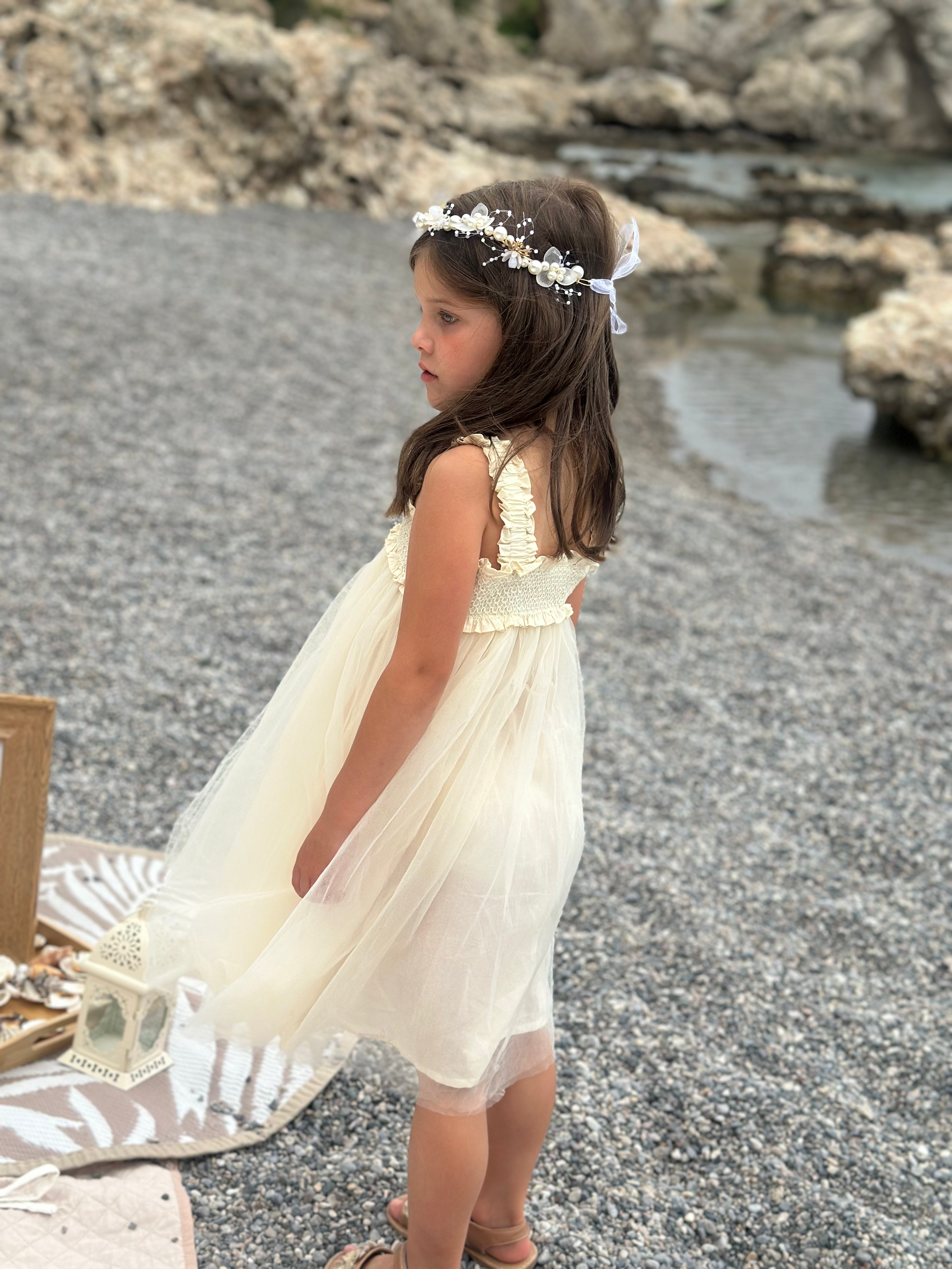 Ariella Dress