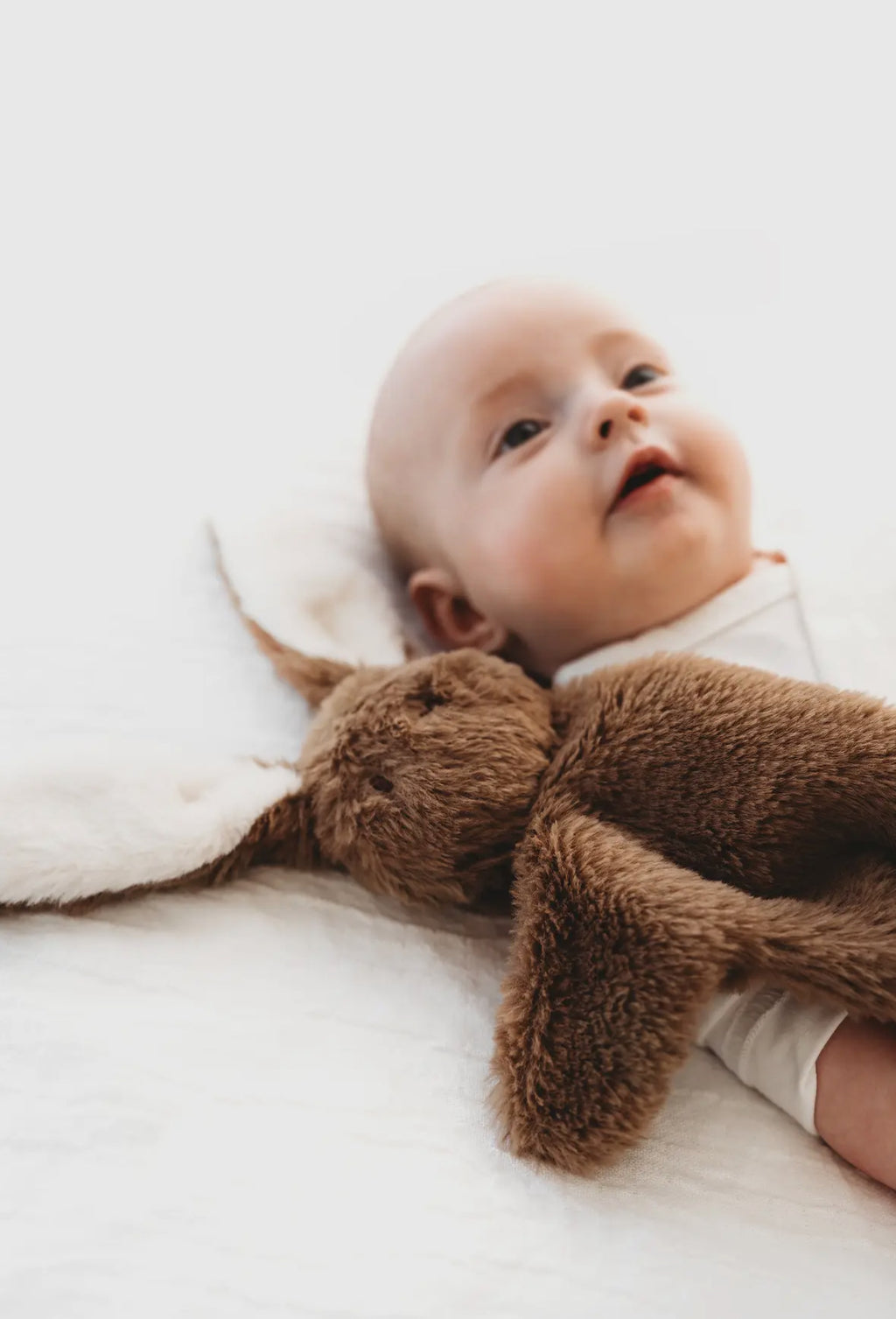 Brown Rabbit comforter