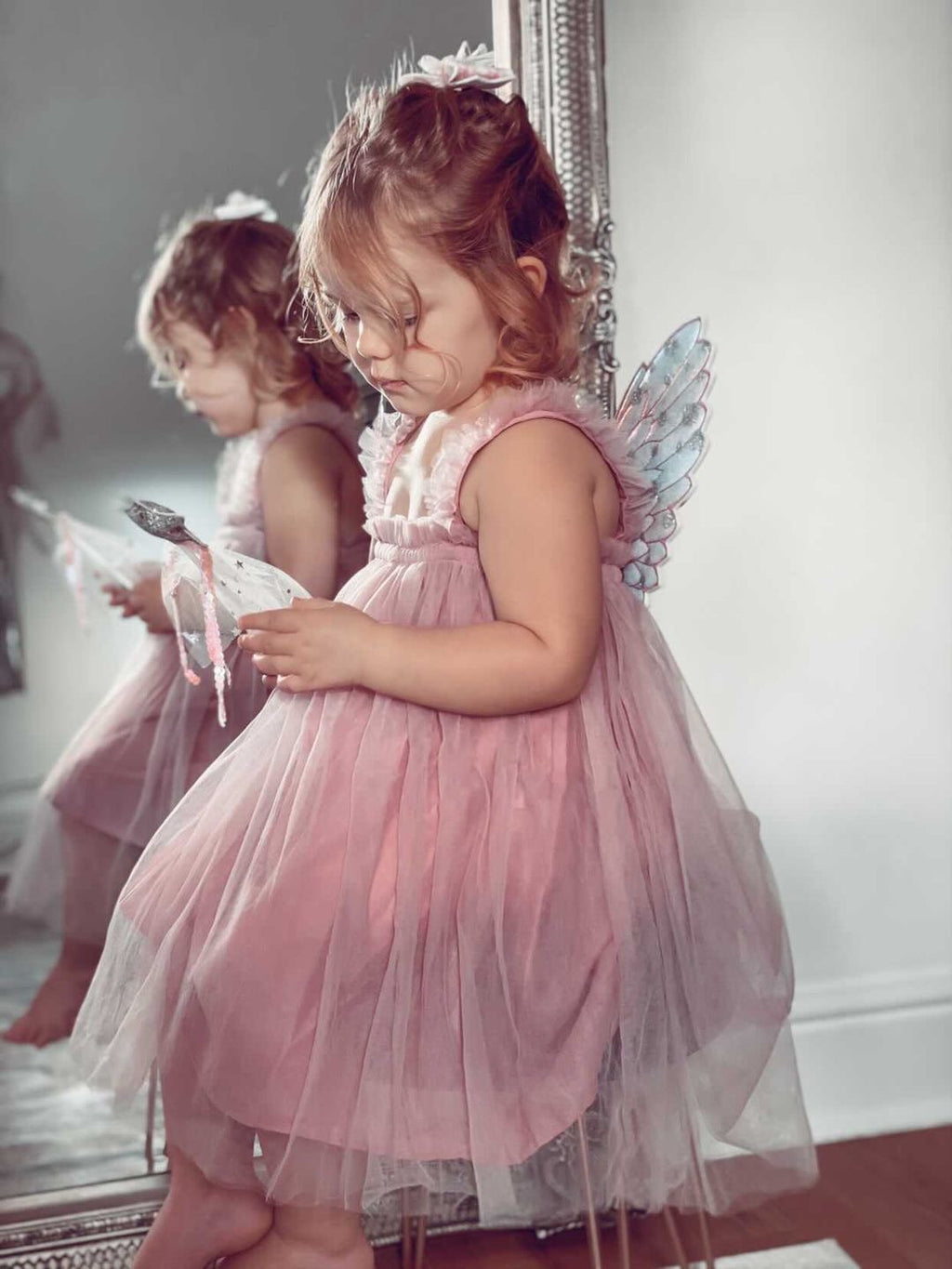 Fairy wand & wings